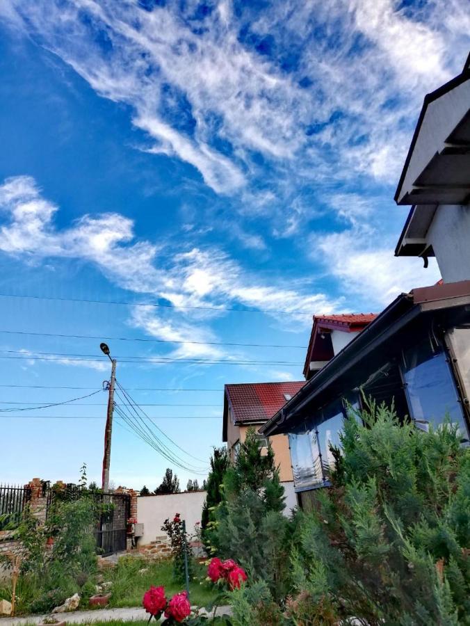 Hotel Casa Alba Năvodari Esterno foto