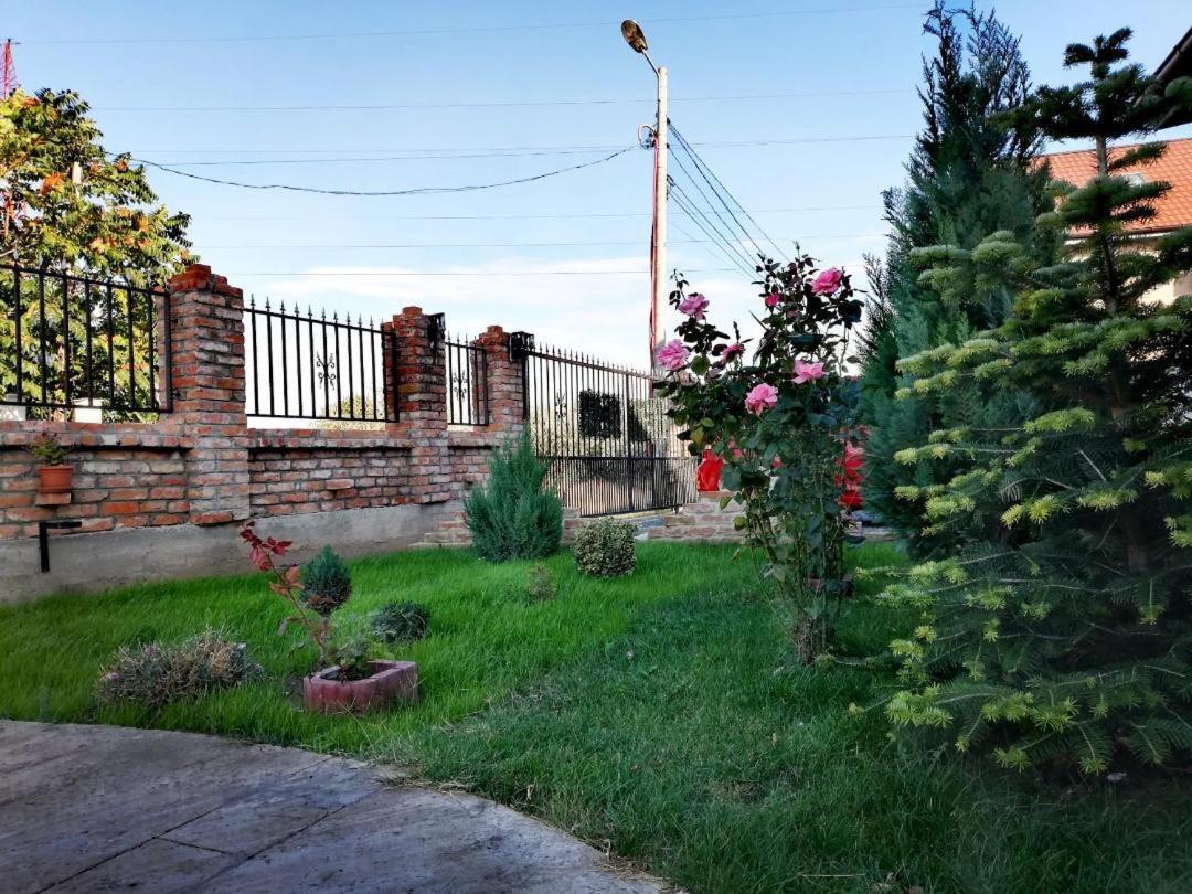 Hotel Casa Alba Năvodari Esterno foto