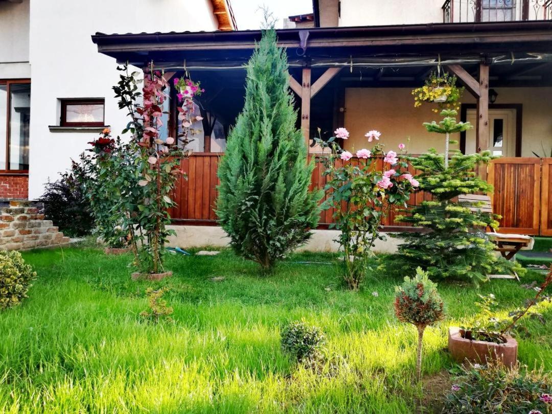 Hotel Casa Alba Năvodari Esterno foto