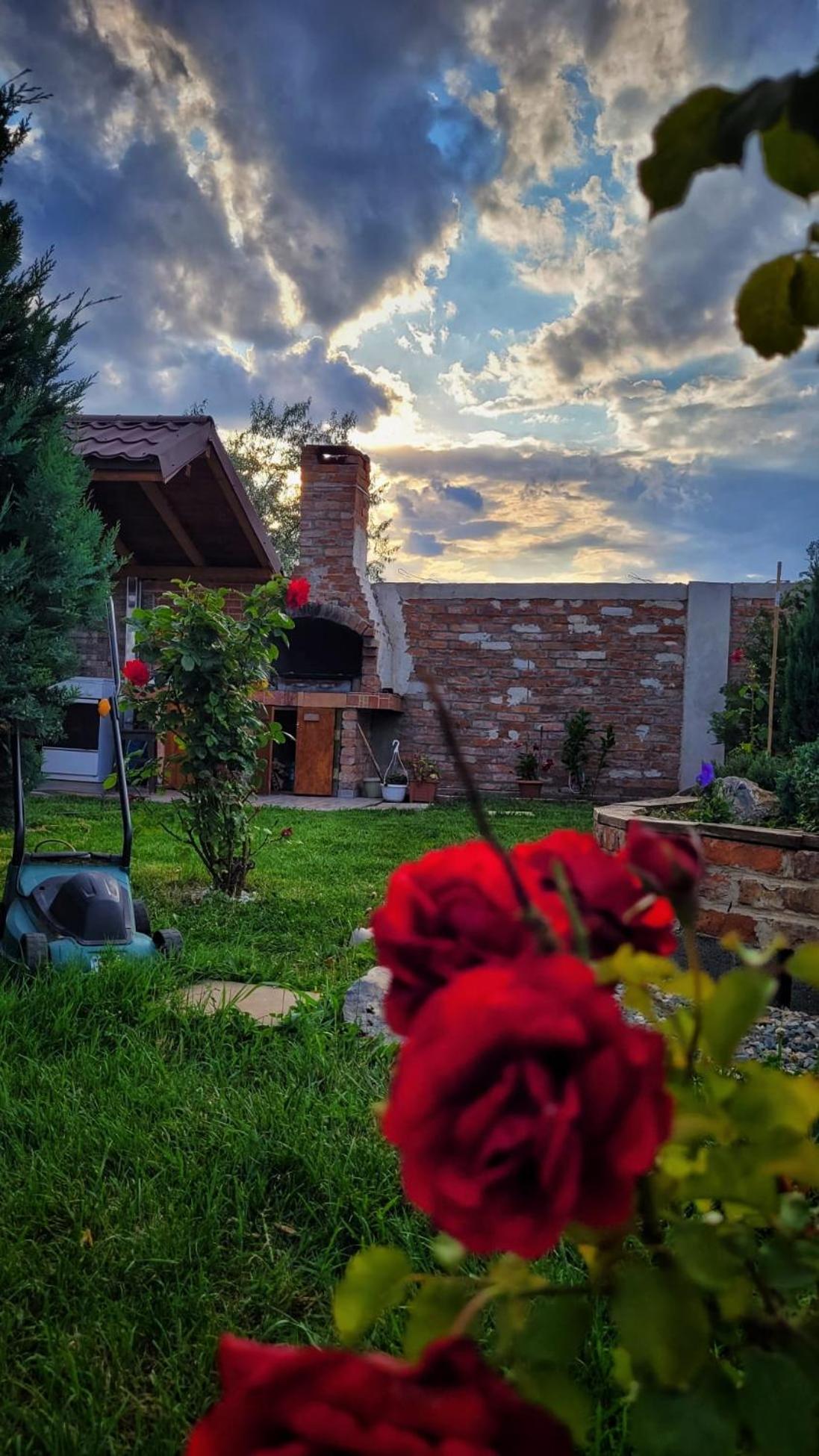 Hotel Casa Alba Năvodari Esterno foto