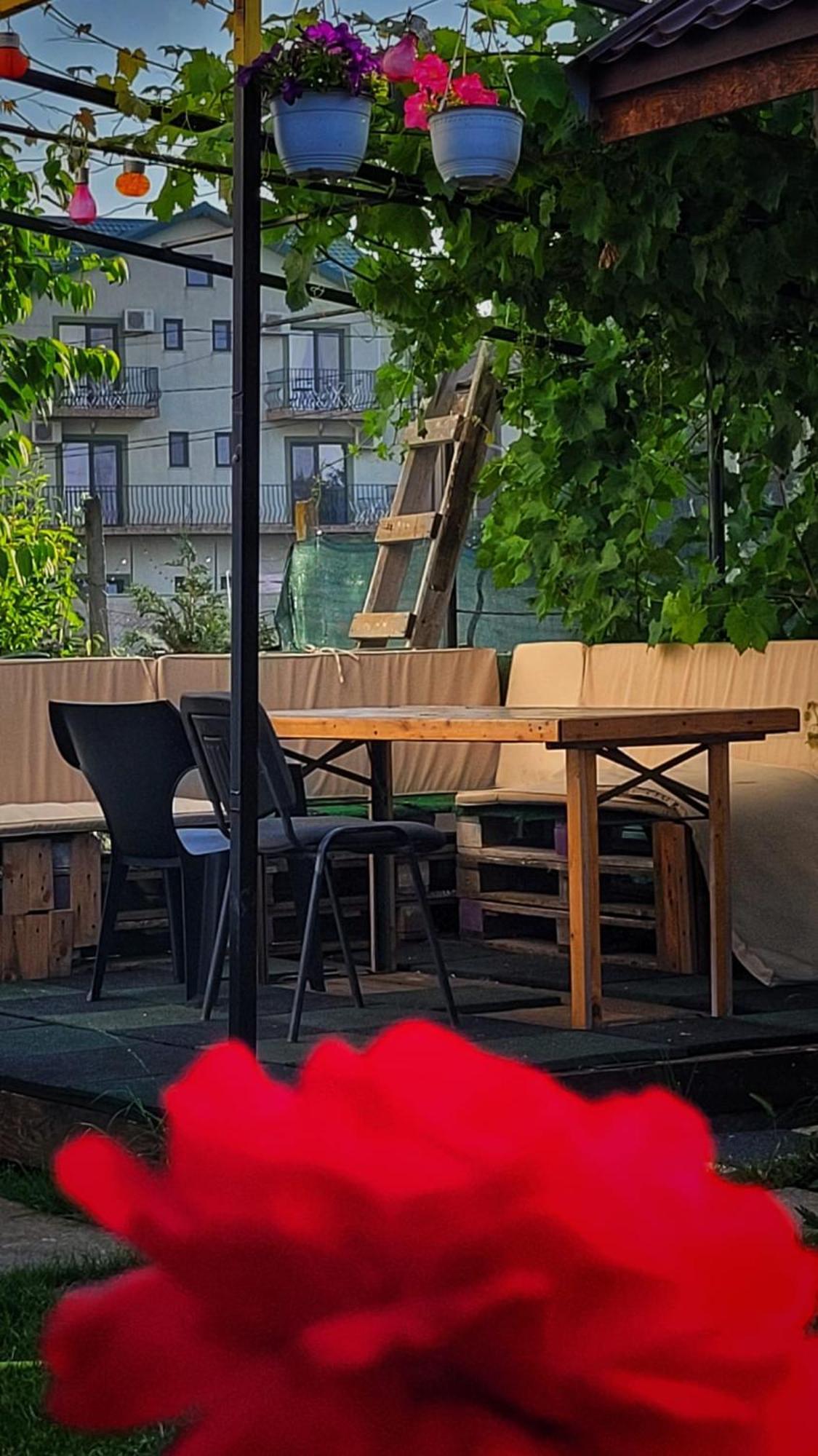 Hotel Casa Alba Năvodari Esterno foto