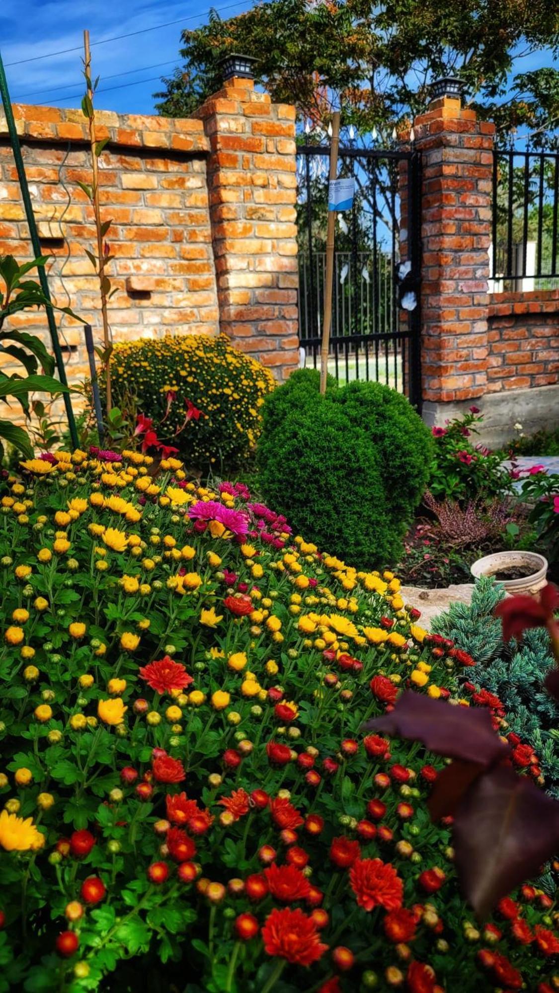 Hotel Casa Alba Năvodari Esterno foto