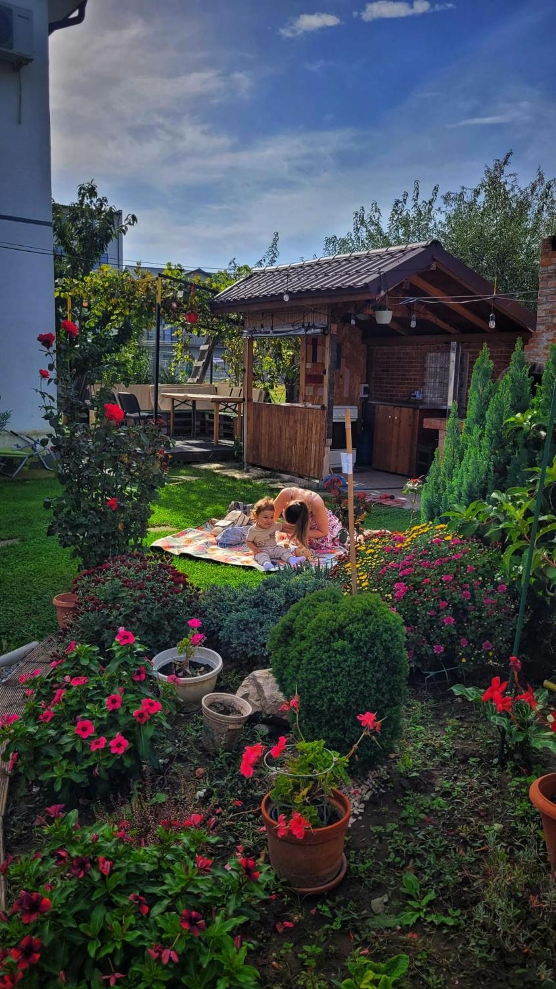 Hotel Casa Alba Năvodari Esterno foto